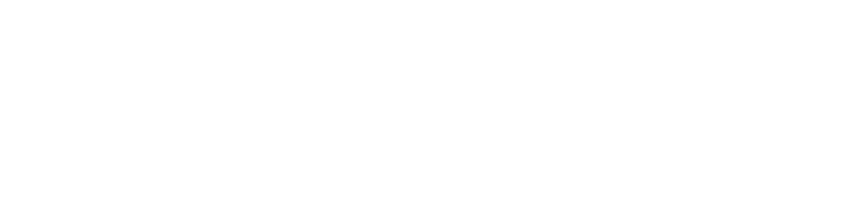 Netlens